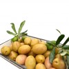 500 gr  yeşil çizik zeytin
